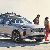 Frischzellen für den Schweden