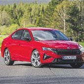 Lastentransport am liebsten im Galopp