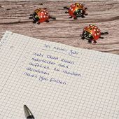 Angriff auf den inneren Schweinehund