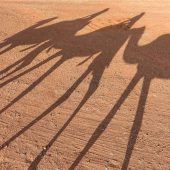 Eintauchen in 1001 Nacht