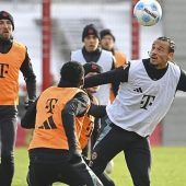 Fan-Frust wegen Neuer & Sané