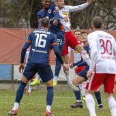 Wachen die Löwen doch noch auf?