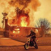 „Es ist wie Armageddon“