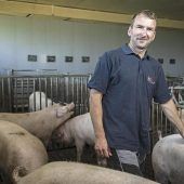 Seuchen-Angst in Bayerns Ställen