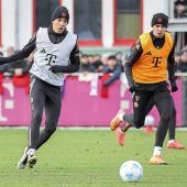 Wettlauf gegen die Zeit