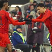 Auch Musialas 2025 startet