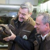 Im Revier der hohen Tiere