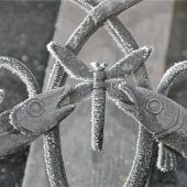 Frostige Stunden, fabelhafte Fotos