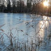 Idyllische Eiswelt am Irlachweiher