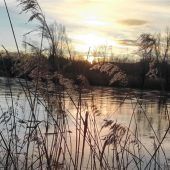 Sonnenaufgang am Tonwerkweiher