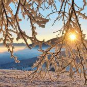 Ein absoluter Wintertraum oberhalb der Nebelgrenze