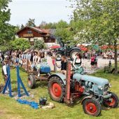 Nach sechs Jahren Pause endlich wieder ein Maibaum