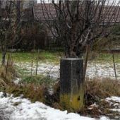 Ausschuss stimmt Befreiungen zu