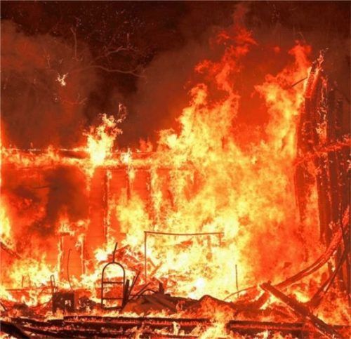 Die Flammen in Pacific Palisades wüten nur etwa acht Kilometer von Natascha Mehler und ihrer Familie. Foto DPA