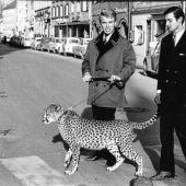 Seit vier Jahren ist die Welt ein gutes Stück weniger zauberhaft