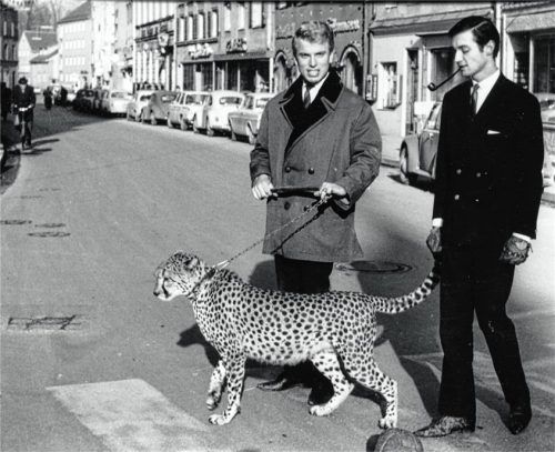 Die Magier Siegfried und Roy bei einem ihrer Heimatbesuche. Foto Hafner/Archiv Herbert Borrmann