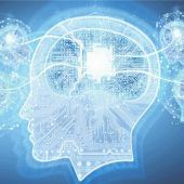 Das Gehirn des eigenen Zuhauses