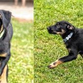 Zweimal 15 Kilogramm Sturm und Drang pur