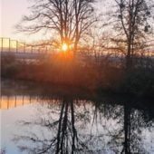 Sonne vertreibt Nebel und Frost