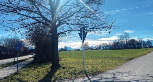 Hier in Schloßberg, im Bereich Vogtareuther- und Kreuther Straße soll das neue Feuerwehrhaus seinen Platz finden. Fotos  thomae/re