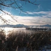 Wichtiges aus dem Rathaus