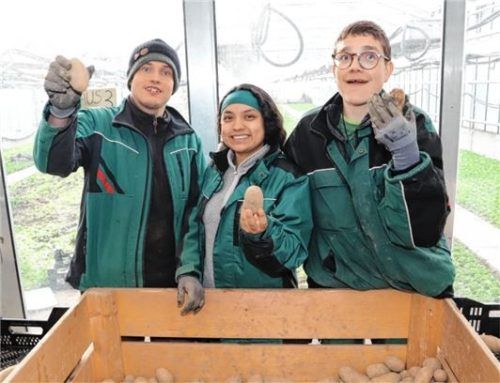 Mit Freude bei der Arbeit: (von links) Max Leirer, Kerly Freire Mesias (siehe Interview) und Felix Neuhäusler.