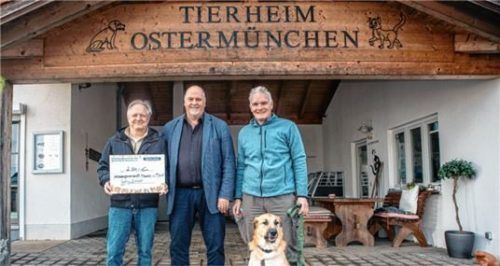 Strahlende Gesichter bei Spender und Empfänger: (von links) Schatzmeister Klaus Estner, Stefan Bögl und Tilmann Rieger mit Vermittlungshund Sabo. Foto stache