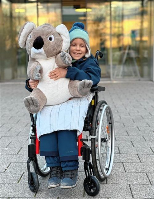 Trostspender: Maxi mit einem großen Koalabären, seinem liebsten Kuscheltier.