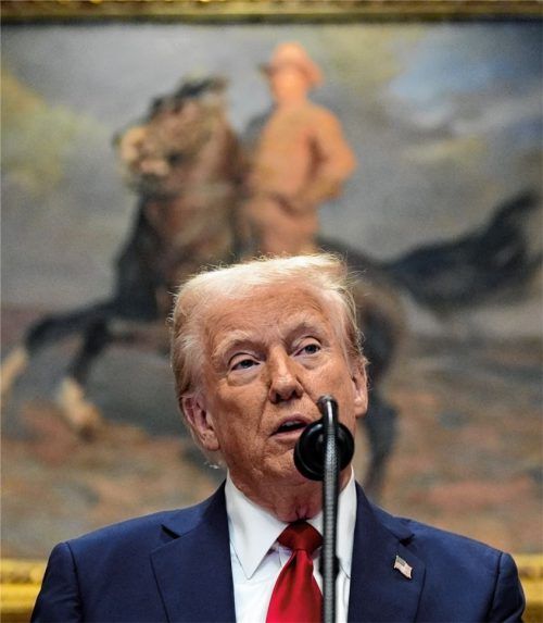 US-Präsident Donald Trump spricht im Roosevelt Room des Weißen Hauses. Foto DPA