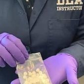 Polizei warnt vor tödlichem Rausch