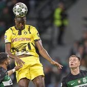 Frust von der Seele geschossen