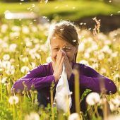 Pollensaison: Kaum Pause für Allergiker