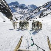 Von der Rentierjagd zur Biathlon-WM