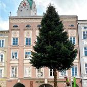 Abschied vom Christbaum