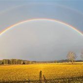 Doppelter Regenbogen für Frühaufsteher