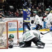 Wenn die Löwen los sind