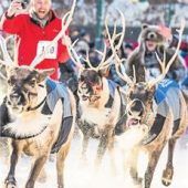 Frauenpower und viele Pfoten