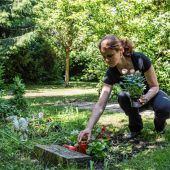Gräber umweltfreundlich schmücken