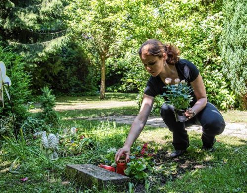 Bei Grablichtern sind die Klassiker aus Wachs umweltfreundlicher als neuere LED-Varianten. Foto Christin Klose/dpa-tmn/dpa