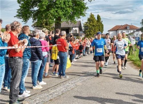 Der Lauf- und Gymnastiktreff ist Ausrichter des überregional bekannten Alleelaufs, an dem im Jahr 2024 über 650 Läufer teilnahmen.