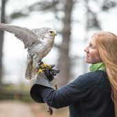 Von Schafwollspinnerei bis zur KI
