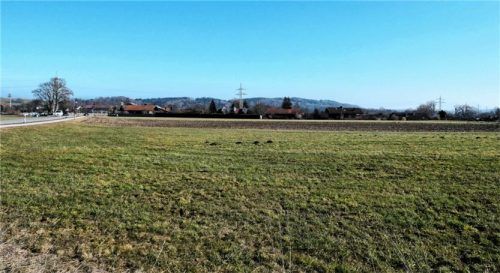 Die Grundstücke westlich von Feldolling sollen in den Flächennutzungsplan aufgenommen werden.