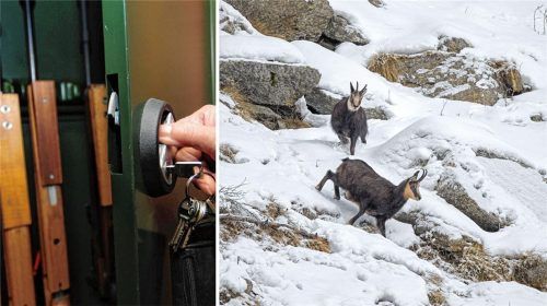 Die Jagdgewehre können im Schrank bleiben, denn die Schonzeit für Gams und Co. gilt wieder. Erstmals seit vielen Jahren hat Bergwild im Winter und Frühjahr wieder Schonzeit. Foto Imago/Max Sonneborn/Imagebroker