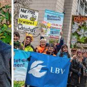 Ein „Reißnagel für den großen Hintern“