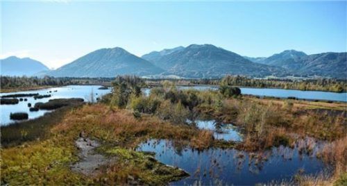 Die Raublinger Filze vom Nicklheimer Aussichtsturm. Die Pläne zur Renaturierung der Moore erhitzen die Gemüter. Foto Ruprecht