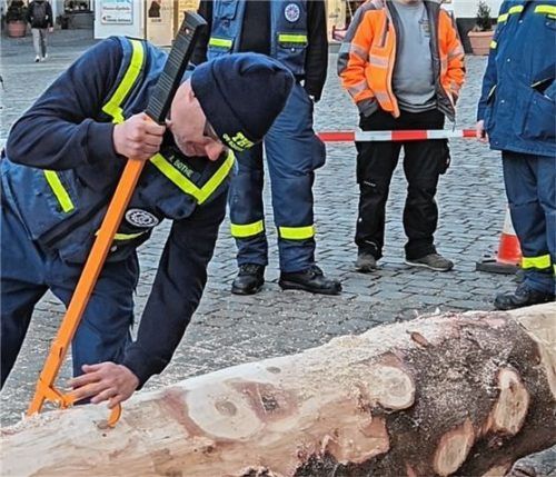 Die Zange dreht den Baum.