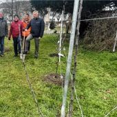 Obstspalier soll Bürger erfreuen