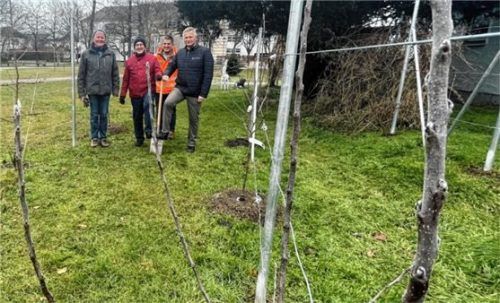 Freuen sich schon auf die erste Ernte (von links): Dr. Wolfgang Kaa und Alfred Komac (beide vom Obst- und Gartenbauverein Bruckmühl) sowie Baufhofleiter Franz Dengler und Bürgermeister Richard Richter. Foto Mischi