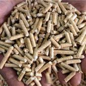 Echte CO2-Reduktion findet schlicht nicht statt