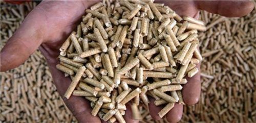 Heizen mit Holz, zum Beispiel mit solchen Pellets, wird als klimafreundliche Lösung gefördert. Foto dpa